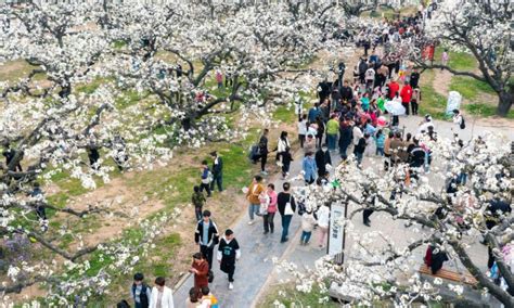  Dangshan Tuhaoyu Daqun Shili Yuanshan Manzara Şaheserleri Keşfedin!