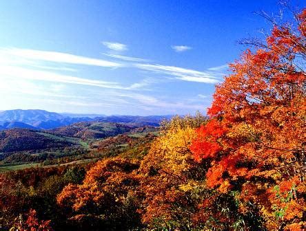  Qixia Mountain Manastırı: Tarihin Kalbinde Ruhunu Yenileyin!