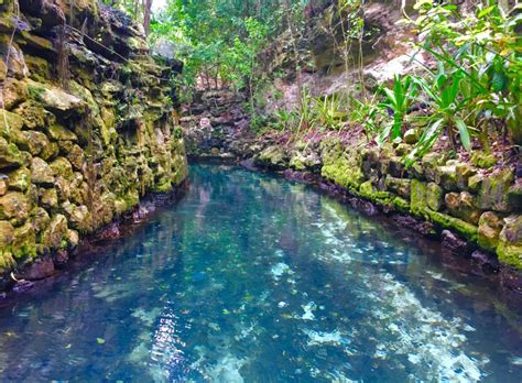  Xcaret Park: Keşfetmeye Değer Bir Arkeolojik Muhteşemlik ve Mayan Kültürünün Sihirli Dokunuşu!