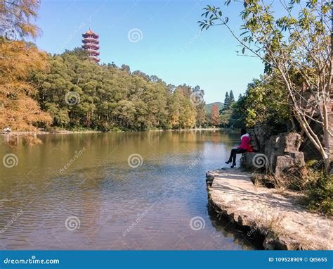  Xianghu Bahçeleri: Su Üzerinde Dans Eden Renkli Gölgeler ve Tarihin Gizemli Hışırtıları!